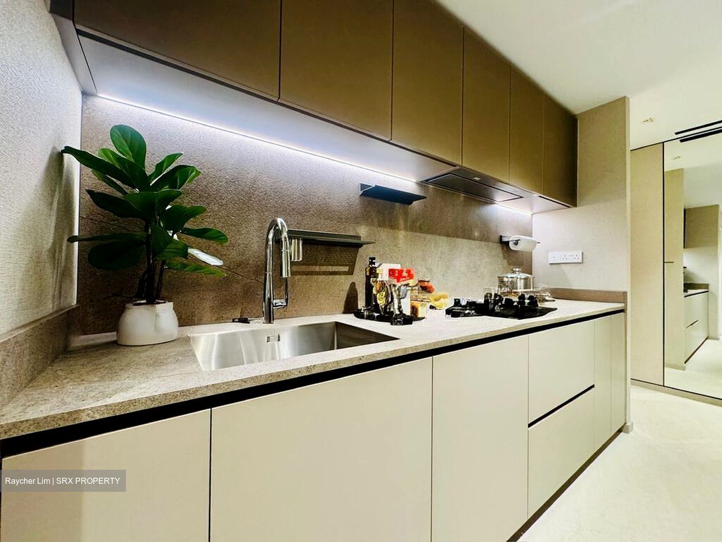 Zion Road (D3), Condominium #496804821